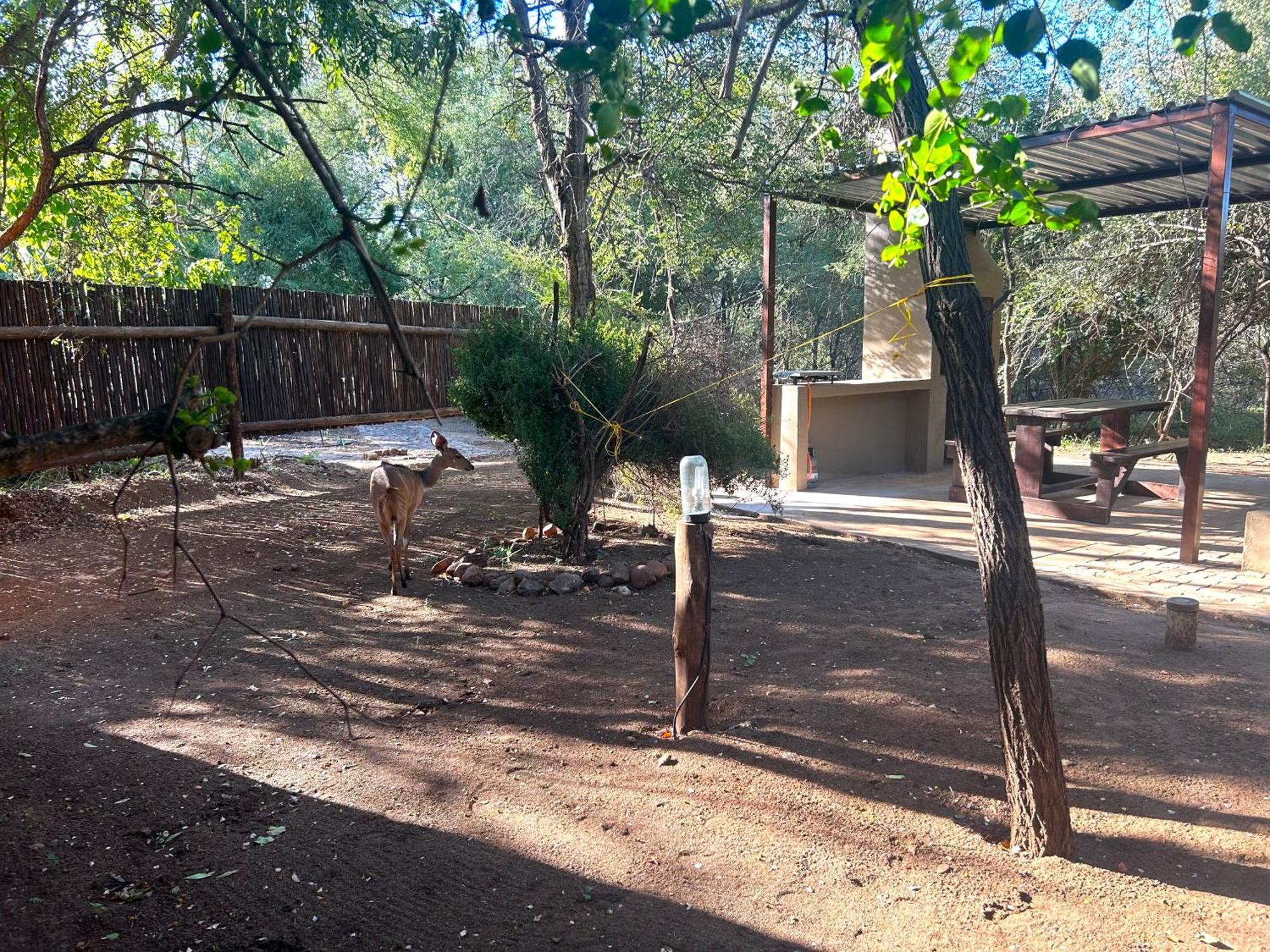 Athule Inn Marloth - Units Marloth Park Luaran gambar